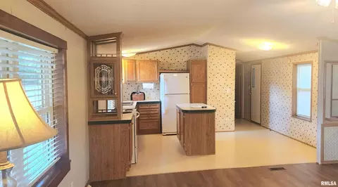 210 E Old Plank Rd, Chester, IL 62233 photo 8