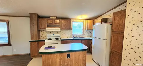 210 E Old Plank Rd, Chester, IL 62233 photo 13