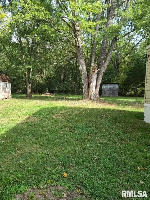 4427 Harvey St, Coello, IL 62825 photo 9