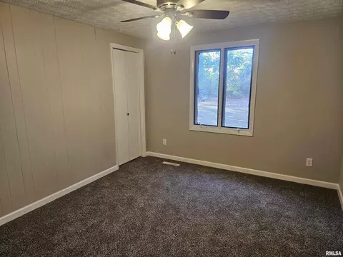 11799 E Webb Rd, Mount Vernon, IL 62864 photo 21