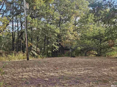 11799 E Webb Rd, Mount Vernon, IL 62864 photo 6