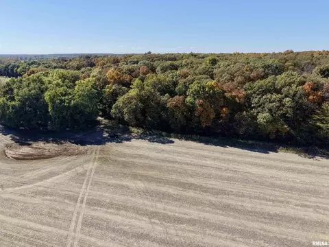 Other - 000 3100 East Ave, Cowden, IL 62422 photo 13 of 14