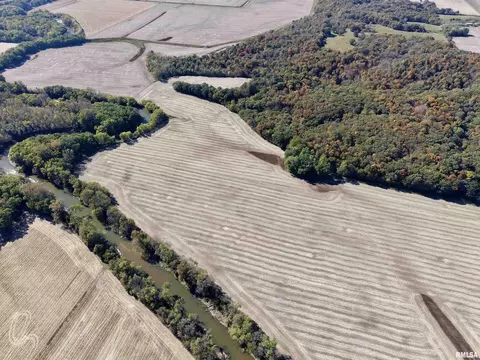 View/Area - 000 3100 East Ave, Cowden, IL 62422 photo 14 of 17