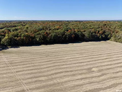 Other - 000 3100 East Ave, Cowden, IL 62422 photo 4 of 14