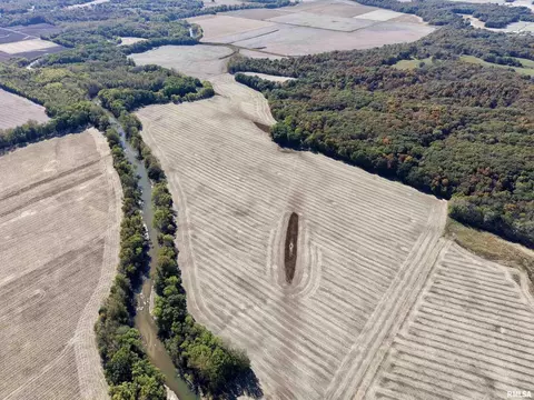 View/Area - 000 3100 East Ave, Cowden, IL 62422 photo 10 of 17