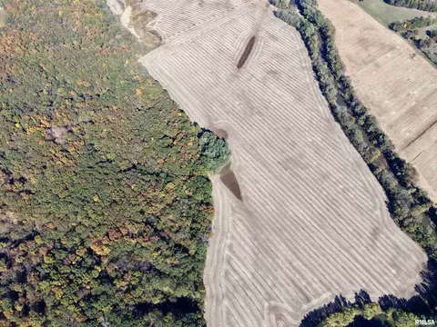 Other - 000 3100 East Ave, Cowden, IL 62422 photo 12 of 14