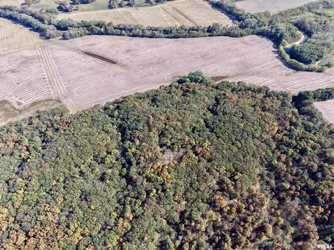 View/Area - 000 3100 East Ave, Cowden, IL 62422 photo 8 of 17