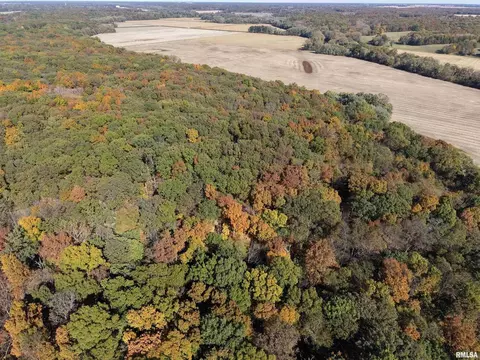 View/Area - 000 3100 East Ave, Cowden, IL 62422 photo 11 of 17