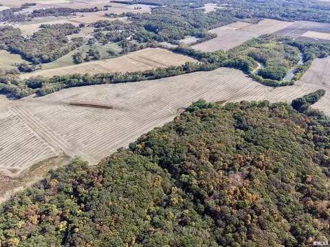 View/Area - 000 3100 East Ave, Cowden, IL 62422 photo 5 of 17