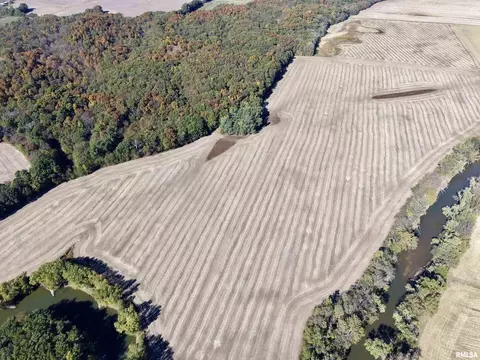 View/Area - 000 3100 East Ave, Cowden, IL 62422 photo 12 of 17