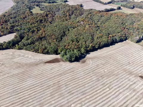 Other - 000 3100 East Ave, Cowden, IL 62422 photo 11 of 14