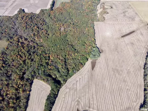 View/Area - 000 3100 East Ave, Cowden, IL 62422 photo 17 of 17