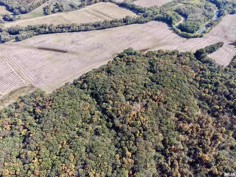 Other - 000 3100 East Ave, Cowden, IL 62422 photo 14 of 14