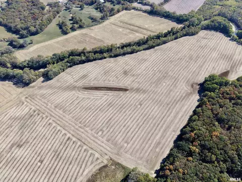 View/Area - 000 3100 East Ave, Cowden, IL 62422 photo 13 of 17