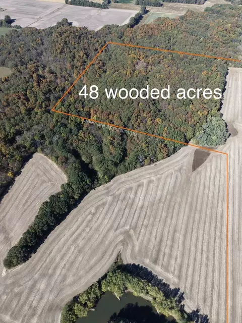 Other - 000 3100 East Ave, Cowden, IL 62422 photo 3 of 14