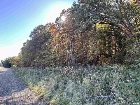 Other - 000 3100 East Ave, Cowden, IL 62422 photo 6 of 14
