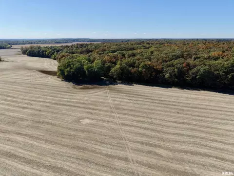View/Area - 000 3100 East Ave, Cowden, IL 62422 photo 9 of 17
