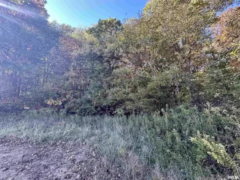 Other - 000 3100 East Ave, Cowden, IL 62422 photo 7 of 14