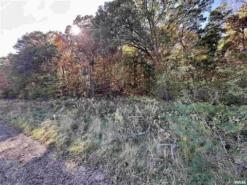 Other - 000 3100 East Ave, Cowden, IL 62422 photo 5 of 14