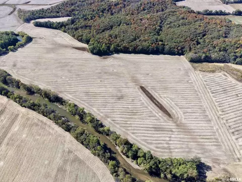 View/Area - 000 3100 East Ave, Cowden, IL 62422 photo 15 of 17