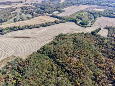 View/Area - 000 3100 East Ave, Cowden, IL 62422 photo 1 of 17