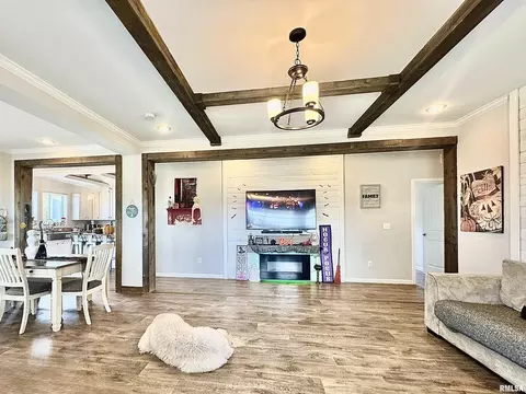 20458 N Boyd Ln, Dix, IL 62830 photo 8