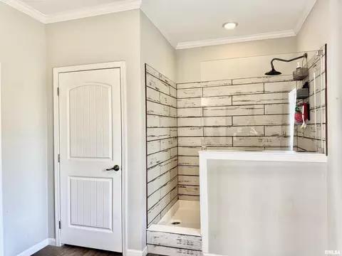 20458 N Boyd Ln, Dix, IL 62830 photo 17