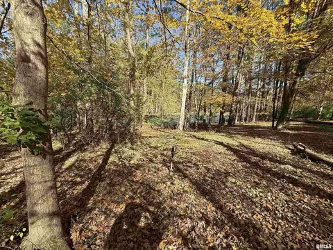449 Pine Ln, Murphysboro, IL 62966 photo 9