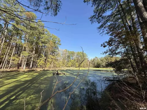 449 Pine Ln, Murphysboro, IL 62966 photo 3
