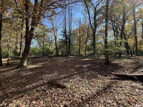 449 Pine Ln, Murphysboro, IL 62966 photo 2