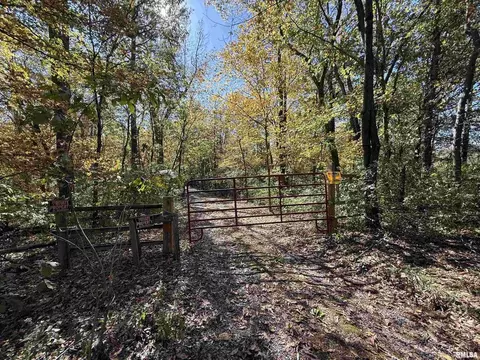 449 Pine Ln, Murphysboro, IL 62966 photo 21