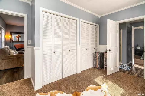 205 S 3rd St, Dahlgren, IL 62828 photo 29