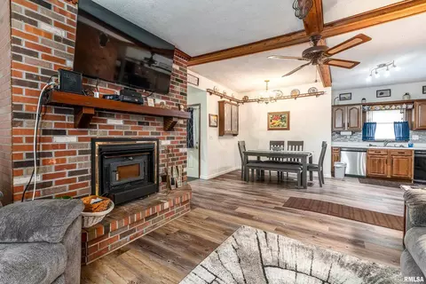 Other - 207 W Sylvester St, Christopher, IL 62822 photo 5 of 10