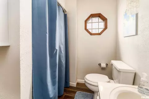 Bath - 207 W Sylvester St, Christopher, IL 62822 photo 4 of 4