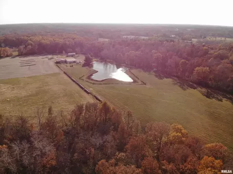 7003 River Rd, Iuka, IL 62849 photo 33
