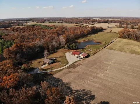 7003 River Rd, Iuka, IL 62849 photo 43