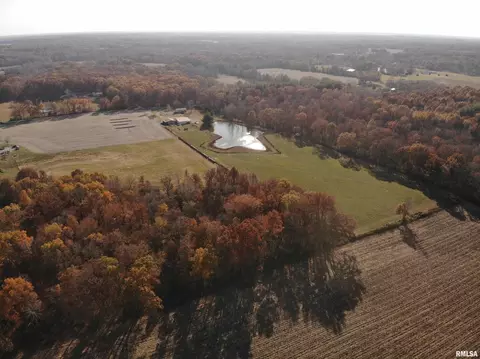 7003 River Rd, Iuka, IL 62849 photo 31