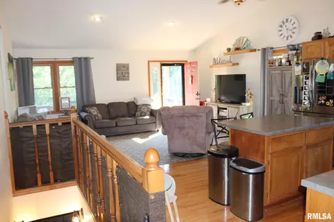 7003 River Rd, Iuka, IL 62849 photo 23