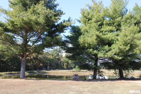 7003 River Rd, Iuka, IL 62849 photo 16