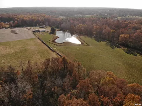 7003 River Rd, Iuka, IL 62849 photo 11