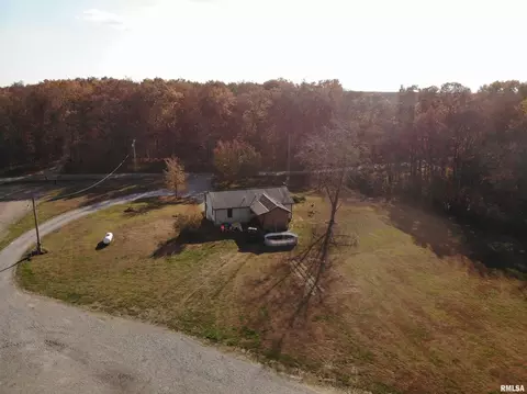 7003 River Rd, Iuka, IL 62849 photo 47
