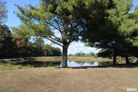 7003 River Rd, Iuka, IL 62849 photo 13