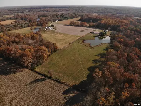7003 River Rd, Iuka, IL 62849 photo 34