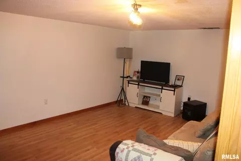 7003 River Rd, Iuka, IL 62849 photo 21
