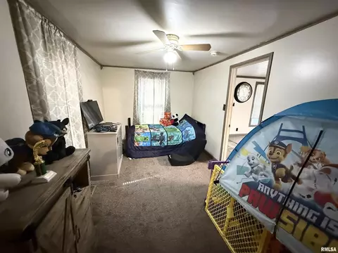 116 N Wilson St, Hurst, IL 62949 photo 9