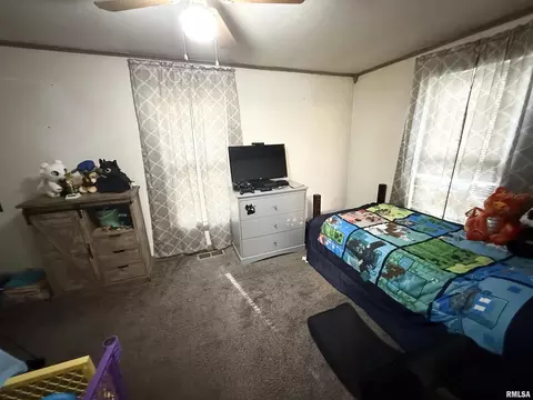 116 N Wilson St, Hurst, IL 62949 photo 10