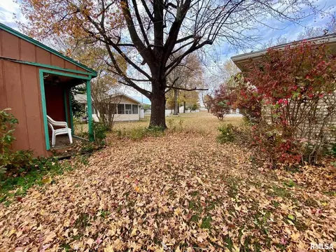 204 E Hamilton St, Energy, IL 62933 photo 15