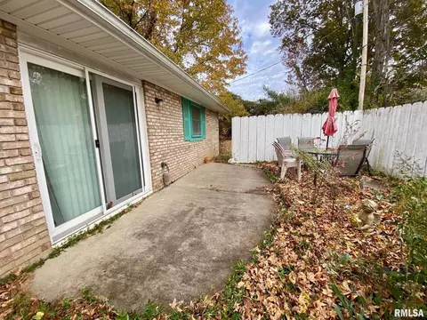 204 E Hamilton St, Energy, IL 62933 photo 16