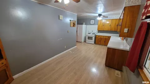 2234 Red Stripe Rd, Odin, IL 62870 photo 7