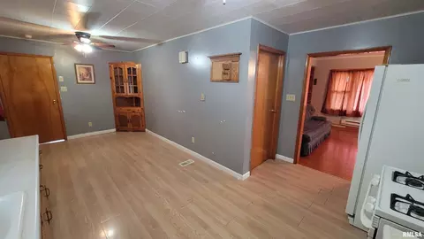 2234 Red Stripe Rd, Odin, IL 62870 photo 8
